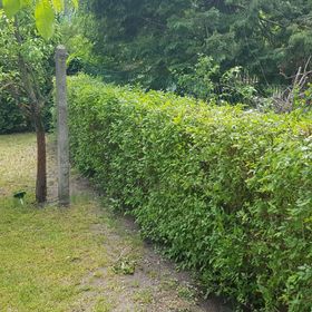 Tavasz Apartman Balatonfenyves