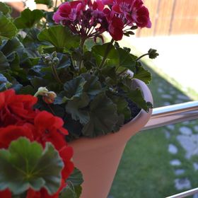 Pensiunea Balea Sat Cârțișoara