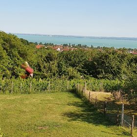 Rizlinger Apartman Felsőörs