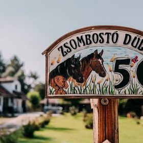 Forgó Lovastanya Pirtó