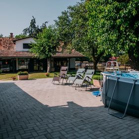 Forgó Lovastanya Pirtó