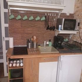 Rana Verde Zöld Béka Vendégház Békésszentandrás