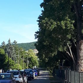 Otthon Kilátással Apartman Csopak