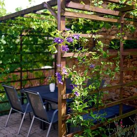 Mádon vagyok Vendégház Mád