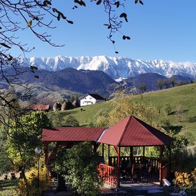 Nona Highland Home - Moeciu de Jos 