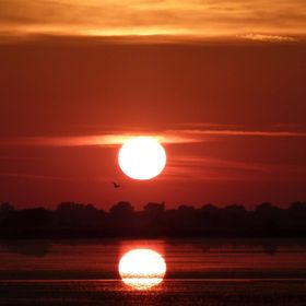 Hajdu Lovasudvar Hortobágy