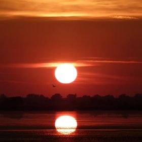 Hajdu Lovasudvar Hortobágy