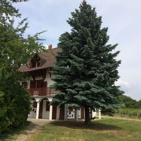 pARTvonal Apartmanház Balatongyörök