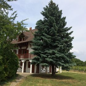 pARTvonal Apartmanház Balatongyörök