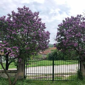 Csicseri Vendégház Cserépfalu