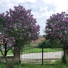 Csicseri Vendégház Cserépfalu