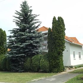 Hévízi Fecske Fészek Vendégház Hévíz