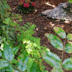 Rózsa Vendégház Keszthely