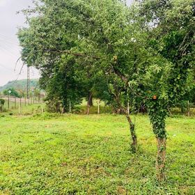 Casa Munteanu Păuliș