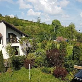 ȘTEFAN le Grand Valea Budului