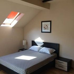 ȘTEFAN le Grand Valea Budului