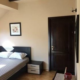 ȘTEFAN le Grand Valea Budului