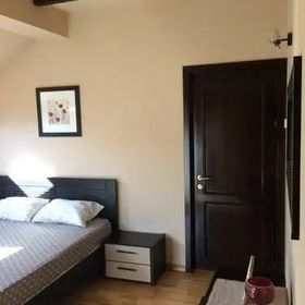 ȘTEFAN le Grand Valea Budului