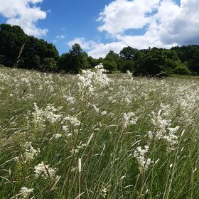 Liget Vendégház Szokolya