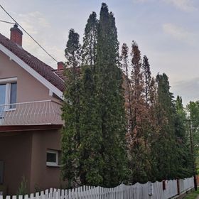 Léna Apartman Balatonlelle