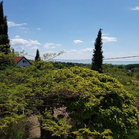 Vadvirág Vendégház Lovas