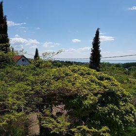 Vadvirág Vendégház Lovas