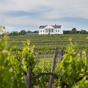 Kincsem Kastély Szőlőbirtok Tolcsva