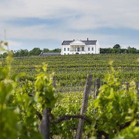 Kincsem Kastély Szőlőbirtok Tolcsva