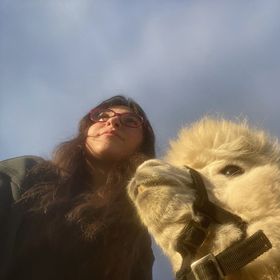 Alpaka Apartman Káptalantóti