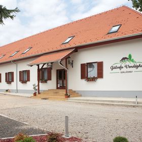 Gálosfa Vendégház Gálosfa