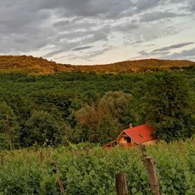 Naturkert Vendégház Várvölgy