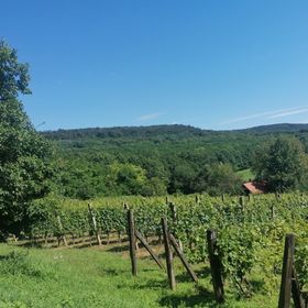 Naturkert Vendégház Várvölgy