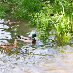 Apartman Dubravac Tribalj