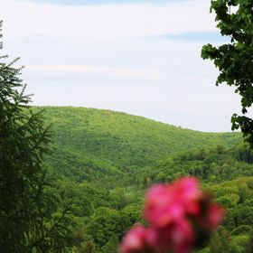 Lili Vendégház Bükkszentkereszt