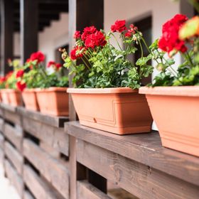 Boróka Vendégház Tóalmás