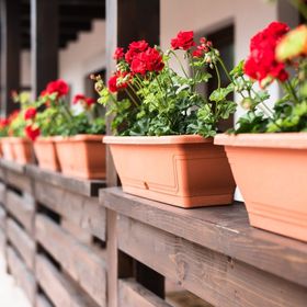 Boróka Vendégház Tóalmás