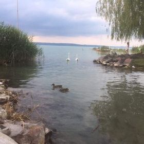 Hársfa Apartman Balatonlelle