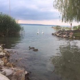 Hársfa Apartman Balatonlelle