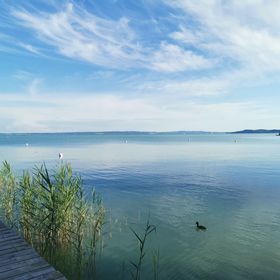 Katica Apartman Csopak