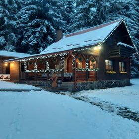 Casa de oaspeți Henrietta Borzont