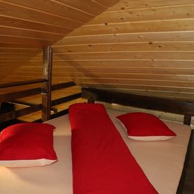 Căsuța din Copac - Cocoșul de Munte Șaru Dornei