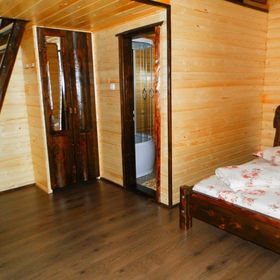 Căsuța din Copac - Cocoșul de Munte Șaru Dornei