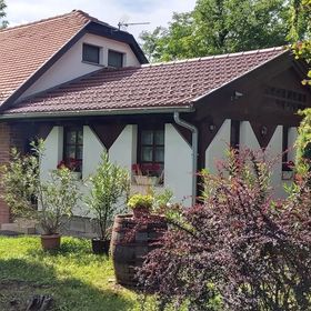 Black Sheep Apartment Lenti