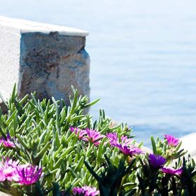 Kuca za Odmor Marija Dramalj