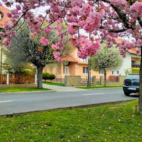 Piroska Deluxe Apartmanház Hévíz