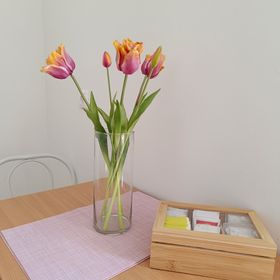 Borisz Apartman Zalakaros