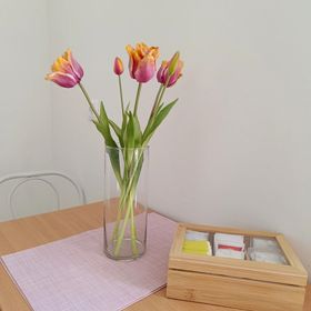 Borisz Apartman Zalakaros