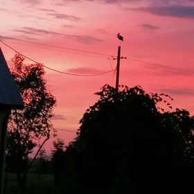 Pokoje Gościnne Zaruby Sejny