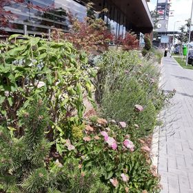 Apartament Sweet Garden Residence Brașov