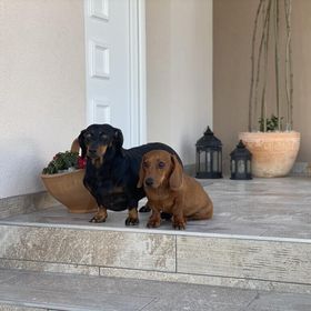 Dióliget Cottage Sárvár